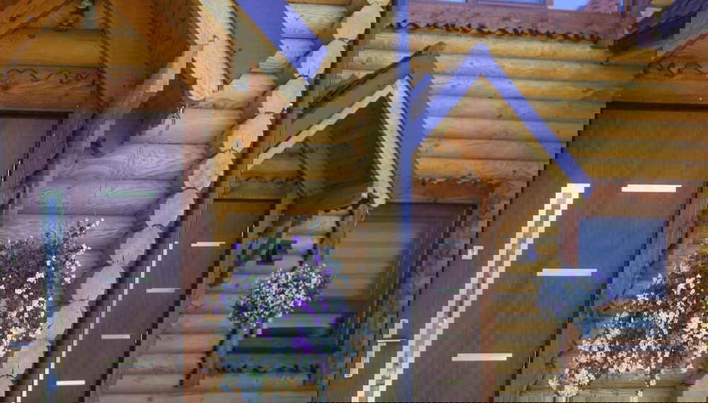 Imagem principal