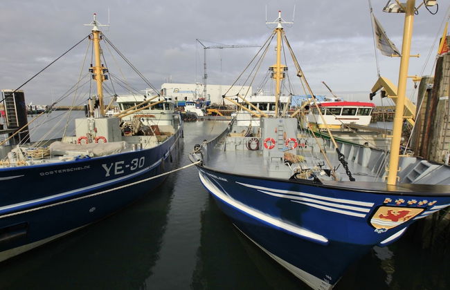 Modern, High-quality Chalet With Wifi Near the Oosterschelde - Foto 25