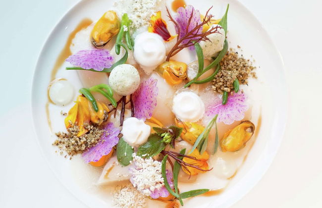 Modern, High-quality Chalet With Wifi Near the Oosterschelde - Foto 13