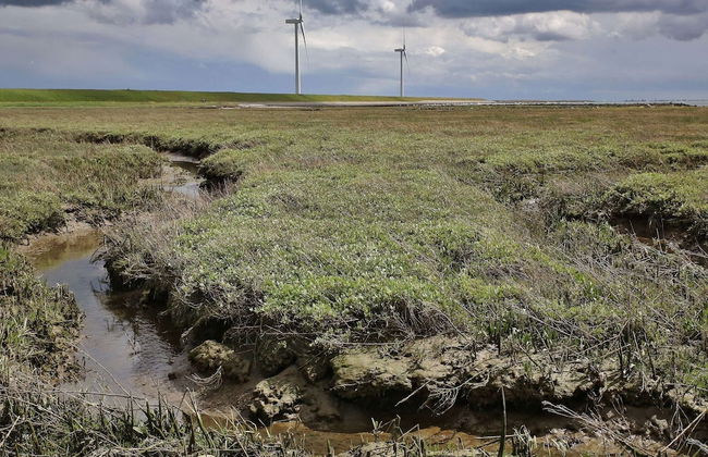 Modern, High-quality Chalet With Wifi Near the Oosterschelde - Foto 30