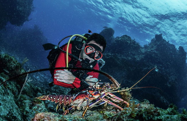 Modern, High-quality Chalet With Wifi Near the Oosterschelde - Foto 22