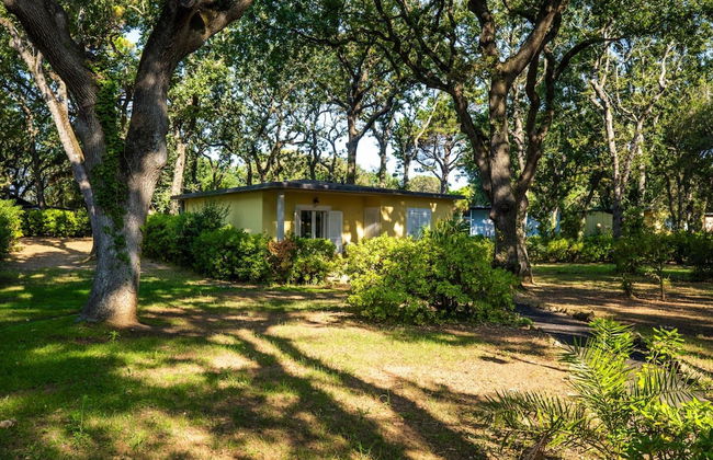 Bungalow in San Vincenzo With Sun Shower - Foto 17