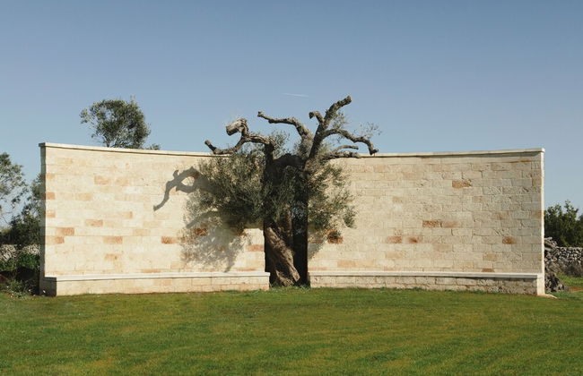 Secolario Masseria Del Viverbene - Foto 70