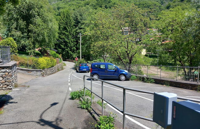 Lake Maggiore Antique Mason - Photo 43