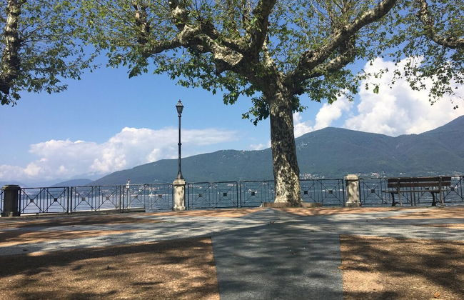 Lake Maggiore Antique Mason - Photo 35