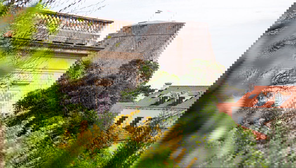 Primary image
