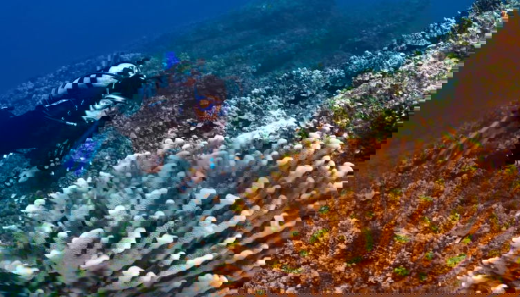 Foto 1 - Napili Ridge A2