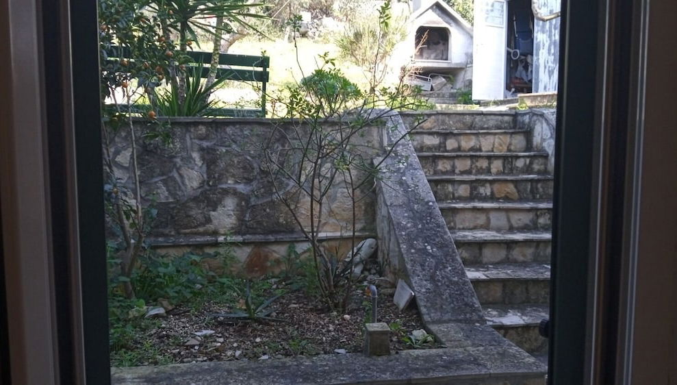 Imagem principal