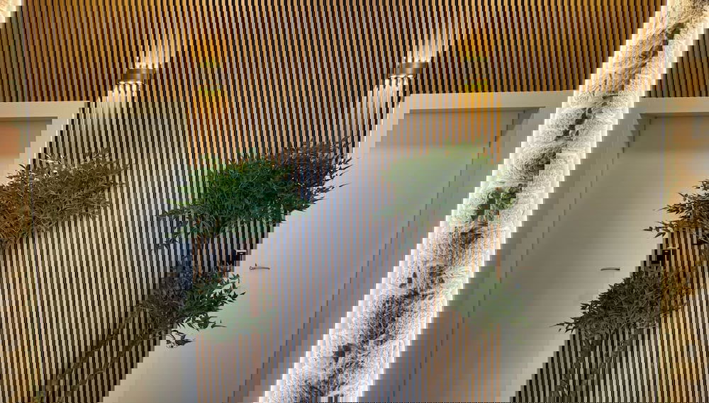 Imagem principal
