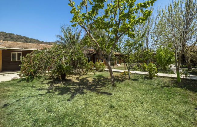 La Maison Hotel Çıralı - Foto 31