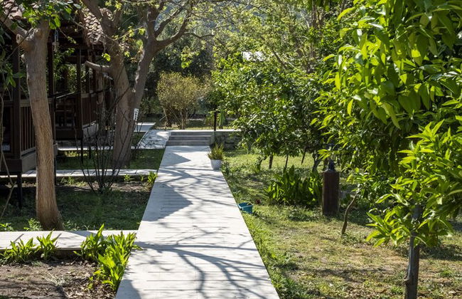 La Maison Hotel Çıralı - Foto 63