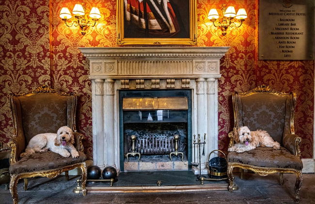 Melville Castle - Photo 54