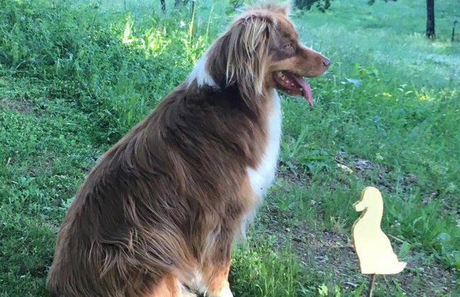 Authentic Tuscan Luxury - Foto 47