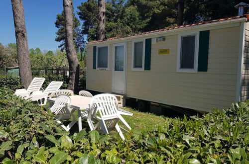 Photo 7 - Trasimeno Glamping Resort