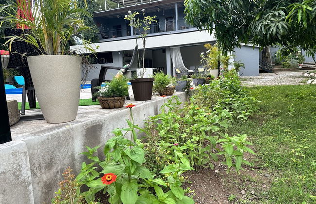 M&M Zavala Hotel and B&B - Photo 30