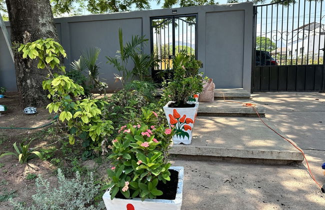 M&M Zavala Hotel and B&B - Photo 23