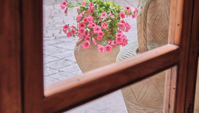 Entrada (vista interior)