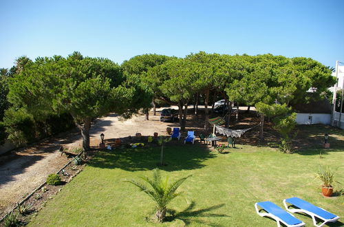 Photo 39 - Beach Villa Pine trees garden