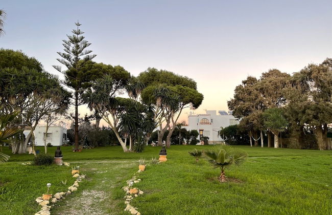 Villa Pinos Zahora - Beach Front Pine Trees - Foto 33