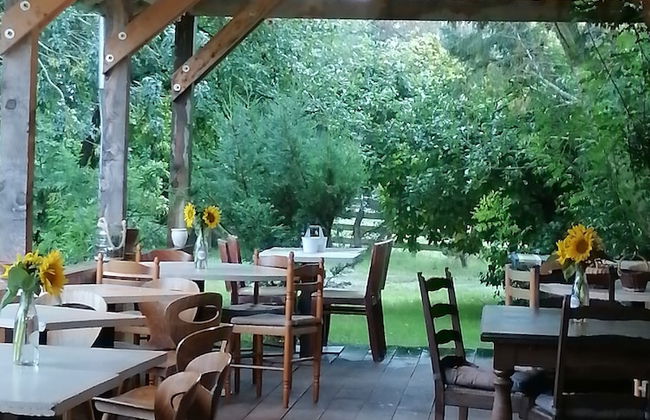 Ferme du Caroire - Foto 17