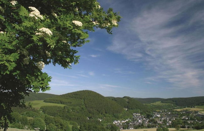 Wohnung in Usseln Nahe Skiliften - Foto 29