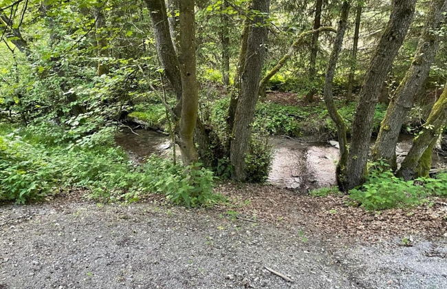 Wohnung in Usseln Nahe Skiliften - Foto 19