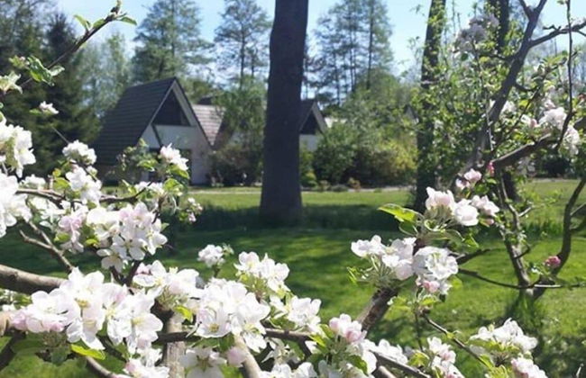 Das Haus Am See - Foto 37