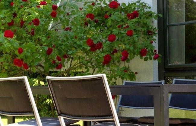 Das Haus Am See - Foto 40