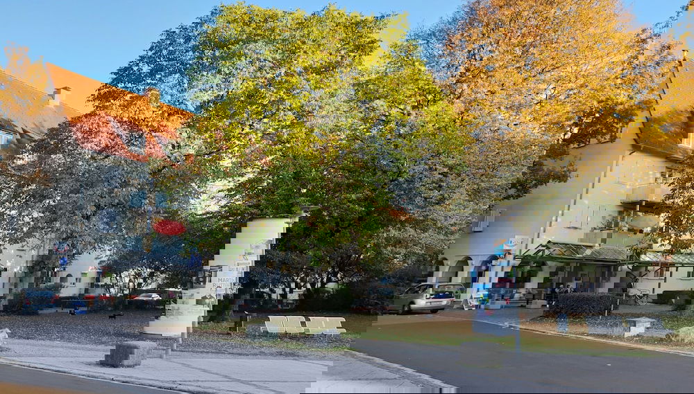 Primary image