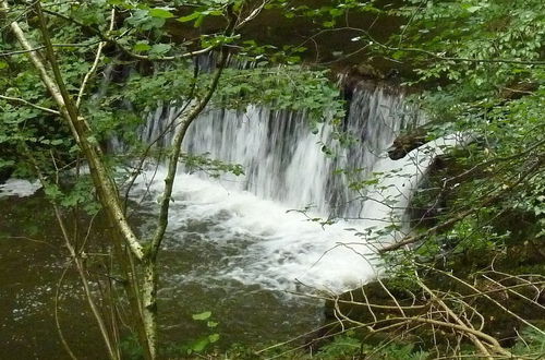 Photo 18 - Ferien im Hunsrück