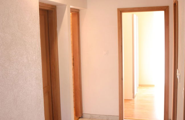Apartments Miki Pag - Photo 14