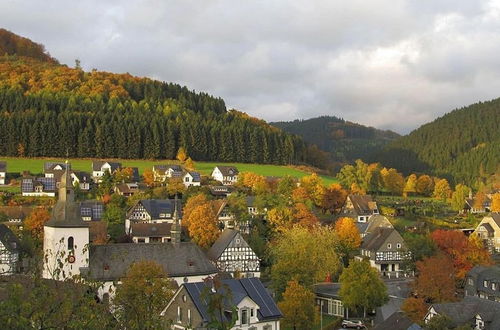 Photo 27 - Pleasing Holiday Home near Ski Area in Schmallenberg Germany