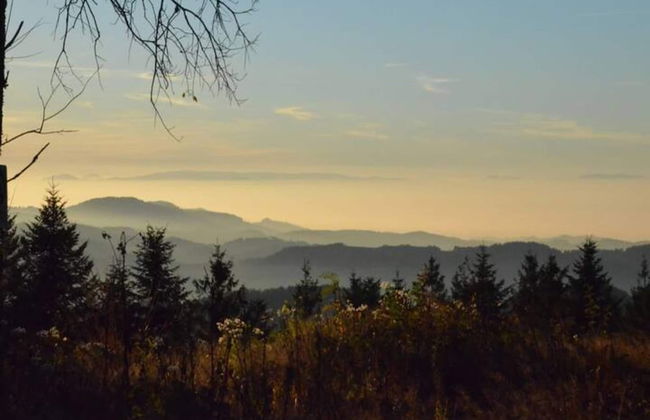 Comfy Apartment in Salmensbach near River - Foto 19