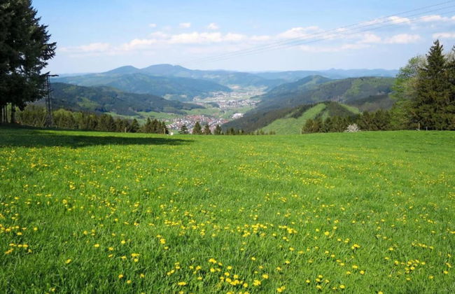 Gemutliche Wohnung in Schwenningen - Foto 25