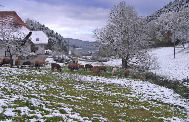 Comfy Apartment in Salmensbach near River - Foto 4