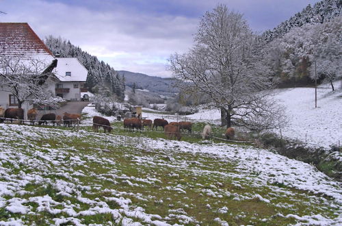 Photo 11 - Comfy Apartment in Salmensbach near River