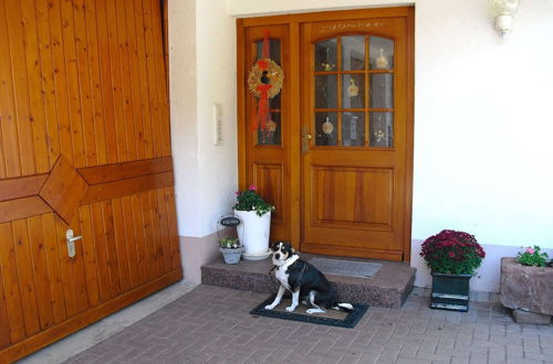 Photo 2 - Comfy Apartment in Salmensbach near River