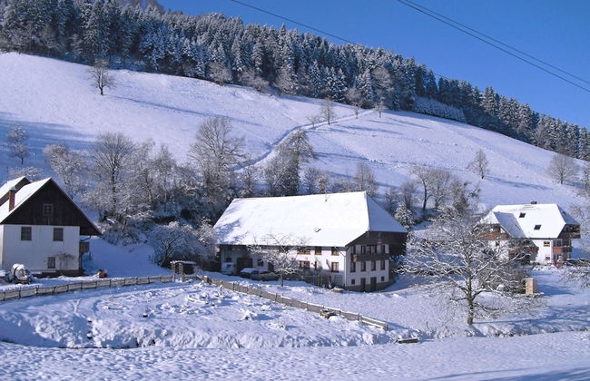Comfy Apartment in Salmensbach near River - Foto 10