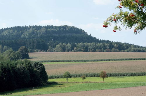 Photo 22 - Apartment in Saxony With Terrace