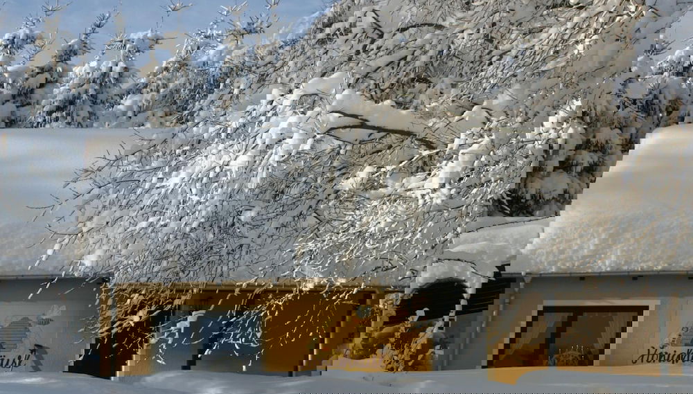 Imagem principal