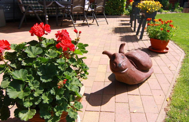 Cozy Apartment in Neubukow near Water Sports - Foto 30