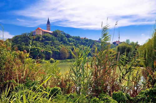 Photo 29 - House on Danube With Sauna