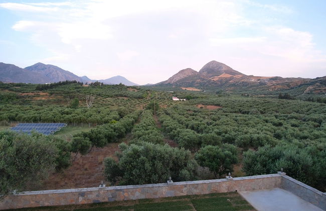 Terra Divina - Photo 61