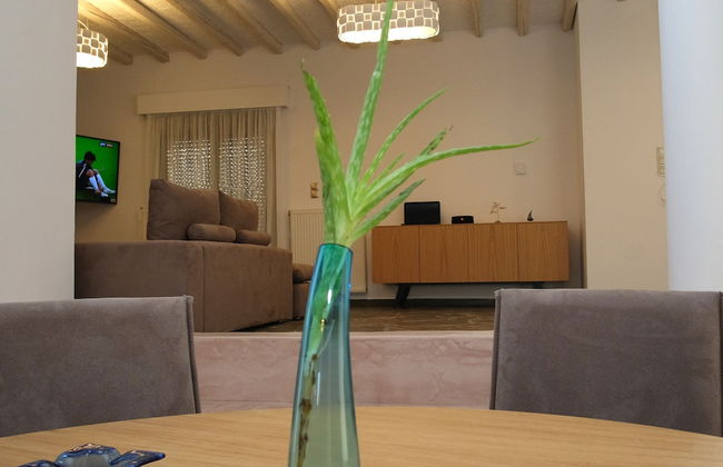 Terra Divina - Photo 31