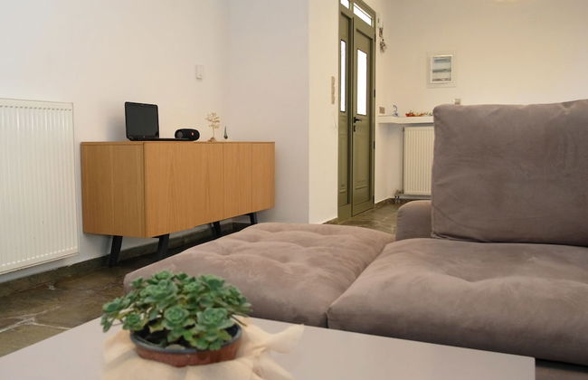 Terra Divina - Photo 34