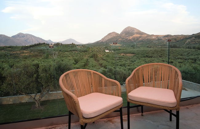 Terra Divina - Photo 46