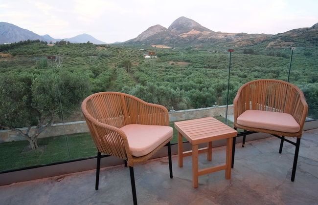 Terra Divina - Photo 47