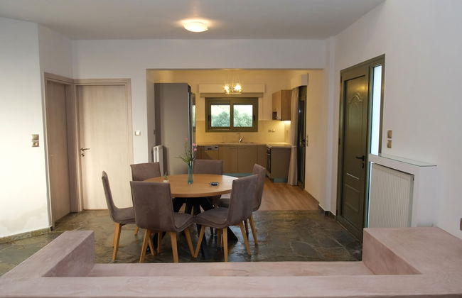 Terra Divina - Photo 40