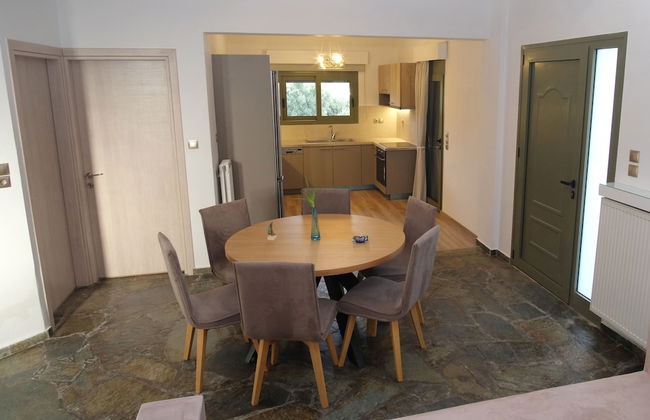 Terra Divina - Photo 38