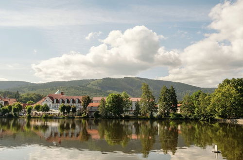 Photo 31 - Lovely Apartment in Ilsenburg Harz near Ski Area